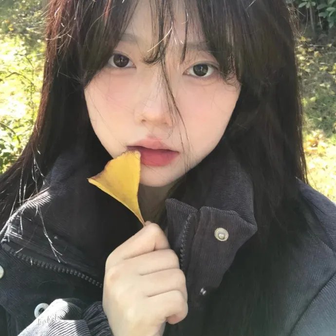 我的朋友是萌鲨